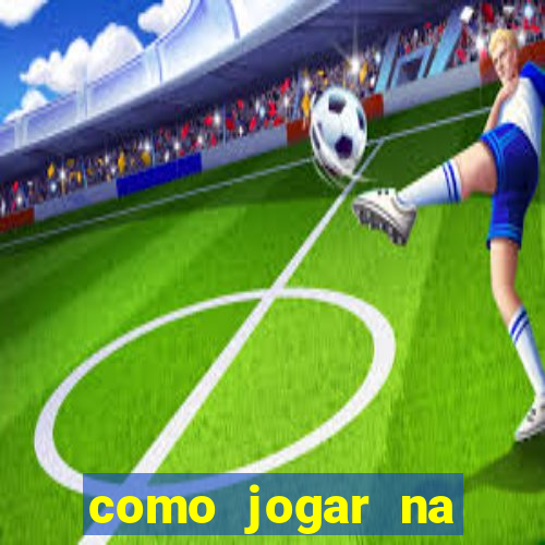 como jogar na teimosinha da lotofacil